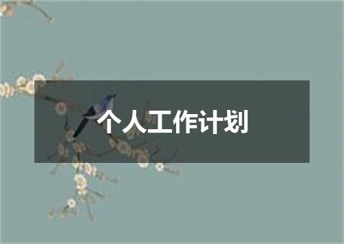 个人工作计划