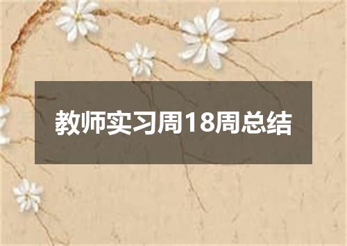 教师实习周18周总结