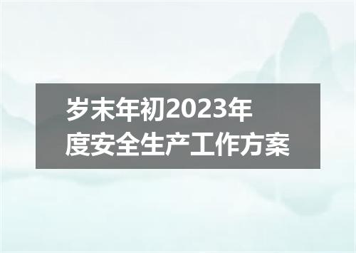 岁末年初2023年度安全生产工作方案