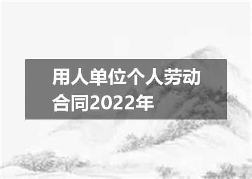 用人单位个人劳动合同2022年
