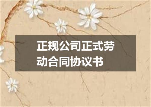 正规公司正式劳动合同协议书