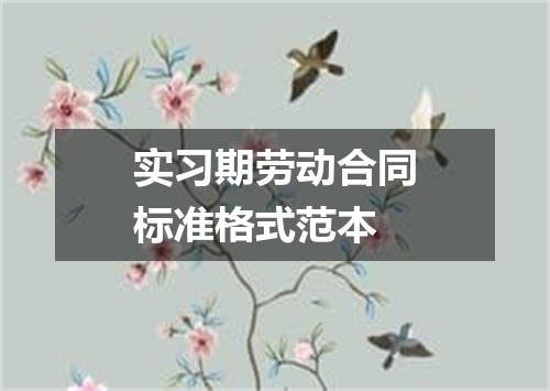 实习期劳动合同标准格式范本