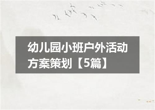 幼儿园小班户外活动方案策划【5篇】