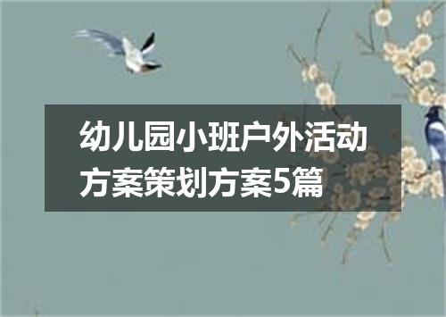 幼儿园小班户外活动方案策划方案5篇