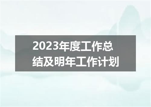 2023年度工作总结及明年工作计划