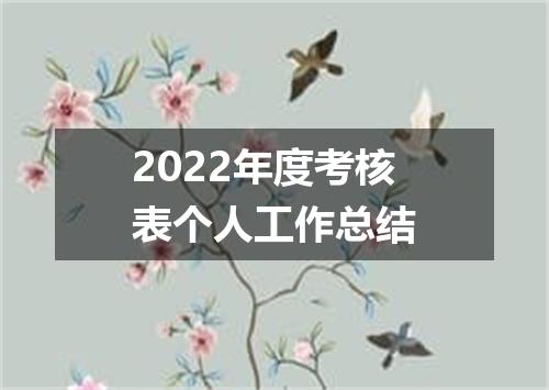 2022年度考核表个人工作总结
