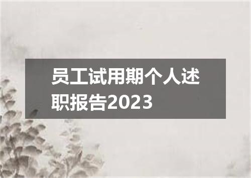 员工试用期个人述职报告2023