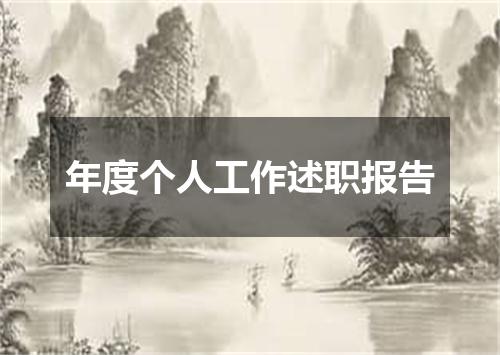 年度个人工作述职报告