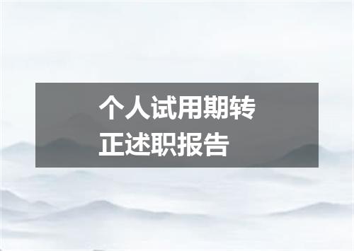 个人试用期转正述职报告