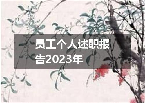 员工个人述职报告2023年