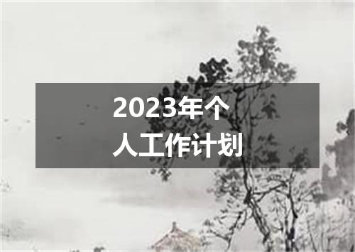 2023年个人工作计划
