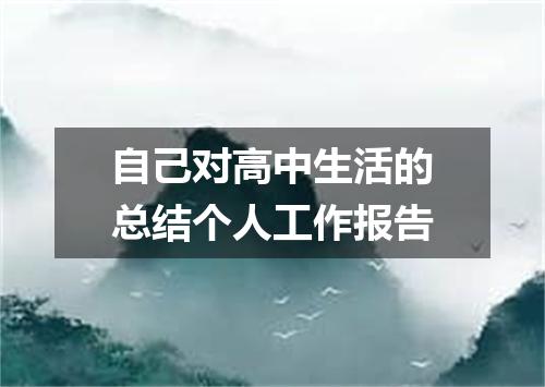自己对高中生活的总结个人工作报告
