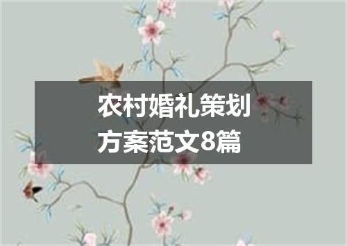 农村婚礼策划方案范文8篇