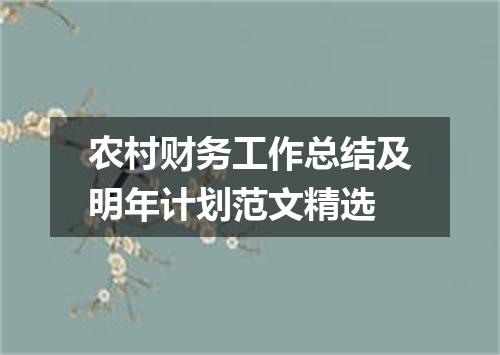农村财务工作总结及明年计划范文精选