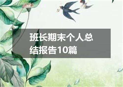 班长期末个人总结报告10篇