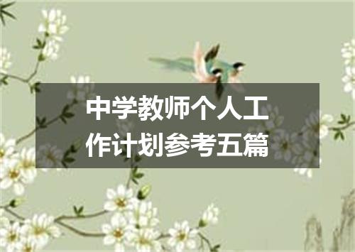 中学教师个人工作计划参考五篇