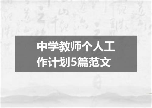 中学教师个人工作计划5篇范文