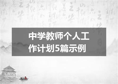 中学教师个人工作计划5篇示例