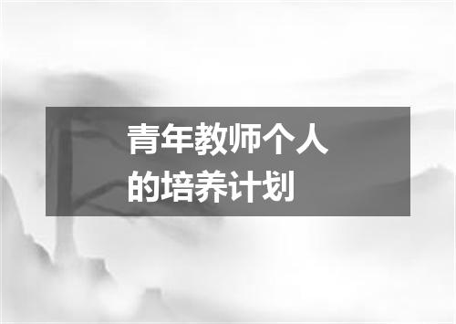 青年教师个人的培养计划