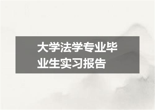 大学法学专业毕业生实习报告