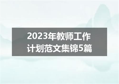 2023年教师工作计划范文集锦5篇