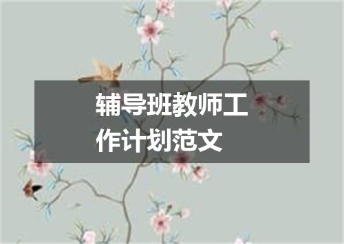 辅导班教师工作计划范文
