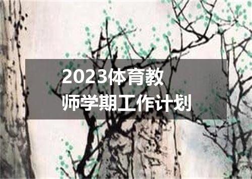 2023体育教师学期工作计划