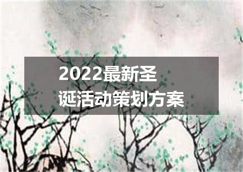 2022最新圣诞活动策划方案