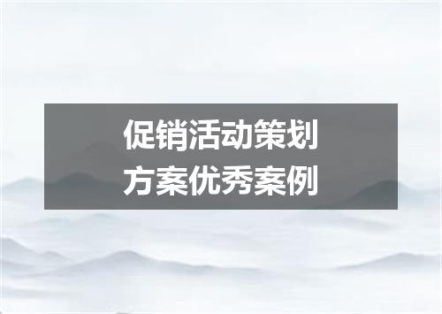 促销活动策划方案优秀案例