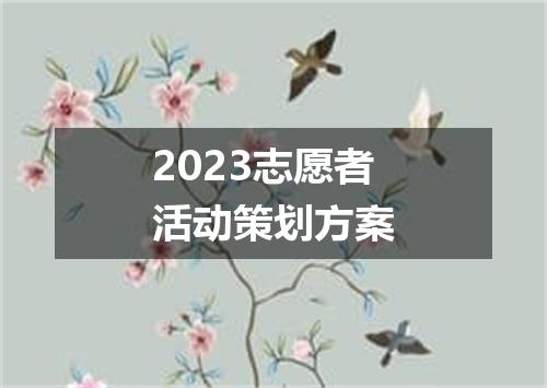 2023志愿者活动策划方案