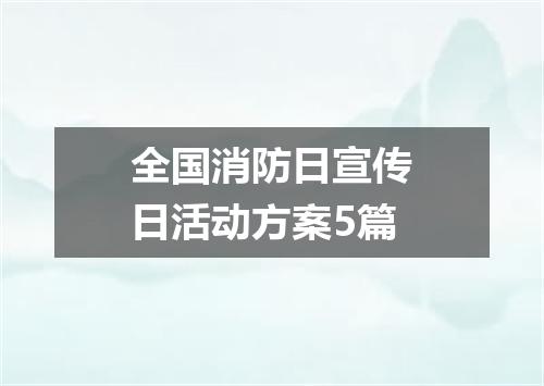 全国消防日宣传日活动方案5篇