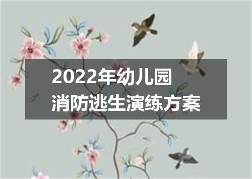 2022年幼儿园消防逃生演练方案
