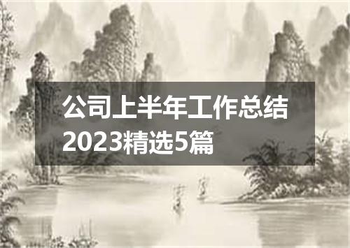 公司上半年工作总结2023精选5篇