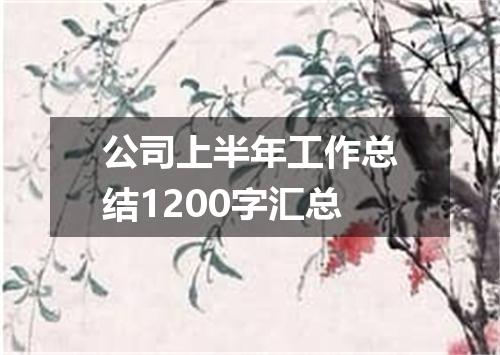 公司上半年工作总结1200字汇总