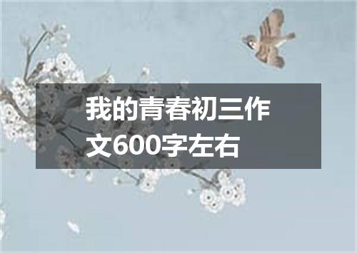 我的青春初三作文600字左右