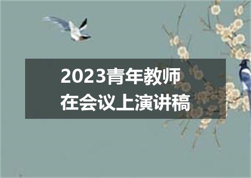 2023青年教师在会议上演讲稿