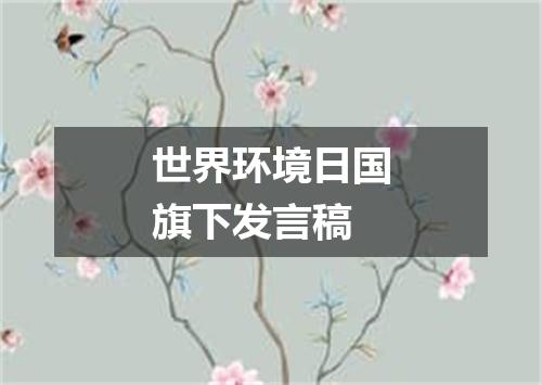 世界环境日国旗下发言稿