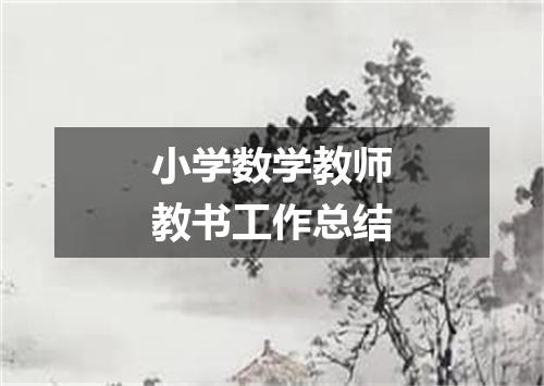 小学数学教师教书工作总结