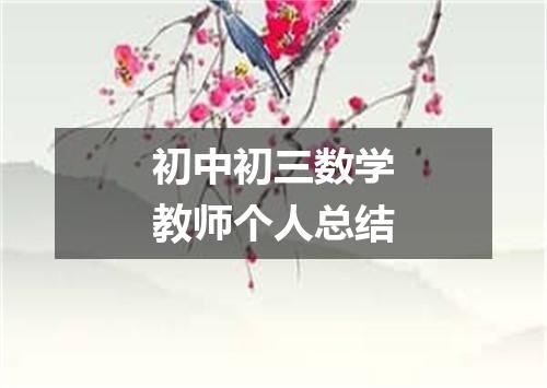 初中初三数学教师个人总结