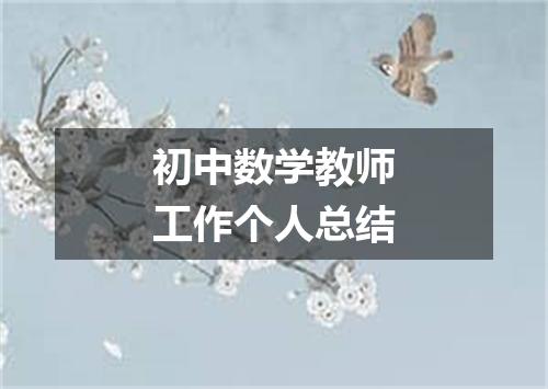 初中数学教师工作个人总结