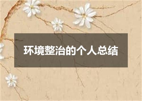 环境整治的个人总结