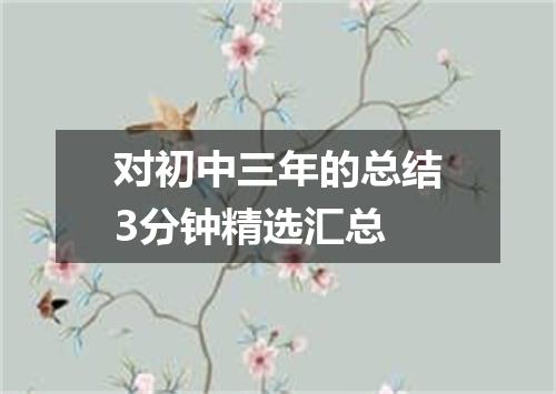 对初中三年的总结3分钟精选汇总