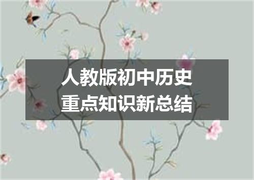人教版初中历史重点知识新总结