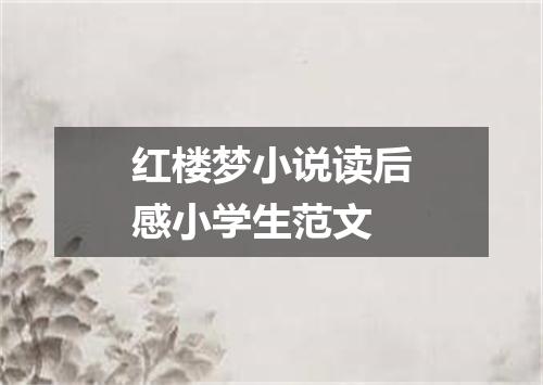 红楼梦小说读后感小学生范文