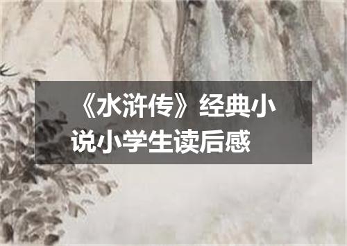 《水浒传》经典小说小学生读后感