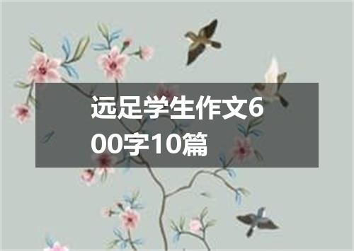 远足学生作文600字10篇