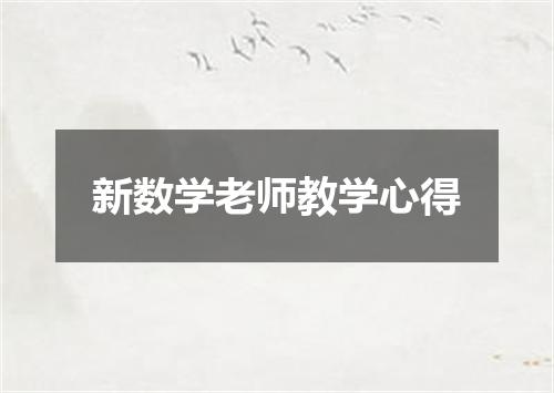 新数学老师教学心得