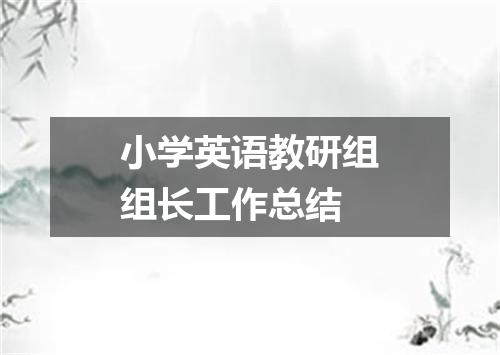 小学英语教研组组长工作总结
