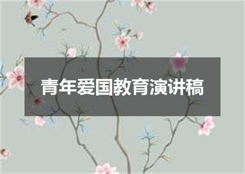 青年爱国教育演讲稿