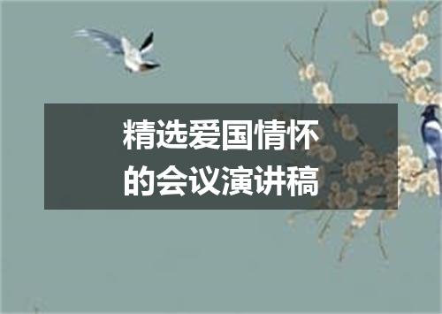精选爱国情怀的会议演讲稿
